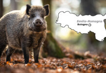 psa fondi emilia-romagna