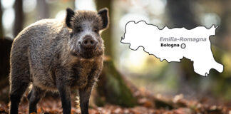 psa fondi emilia-romagna