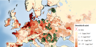 La biosicurezza oltre le mura contro Psa e ileite biosicurezza