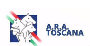 giorgio briganti arat