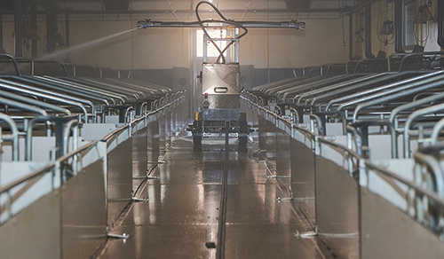 disinfestazione in porcilaia disinfettante psa