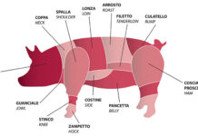 prezzi carne suini