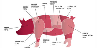 prezzi carne suini