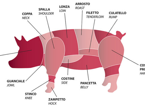 prezzi carne suini