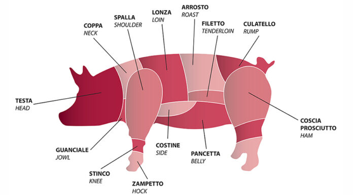 Prezzi suini e tagli di carne: settimana 20-25 luglio prezzi carne suini