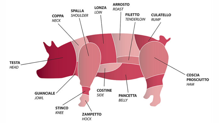 prezzi carne suini