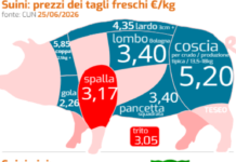 settore suinicolo