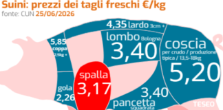 settore suinicolo