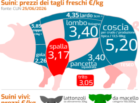 Crisi dei prezzi e tensioni nel settore suinicolo settore suinicolo