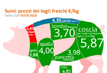 Suini, prezzi in crescita ma l’autunno preoccupa gli allevatori