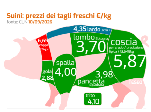 Suini, prezzi in crescita ma l’autunno preoccupa gli allevatori