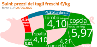 Settore suinicolo: segnali di recupero ma resta la prudenza settore suinicolo