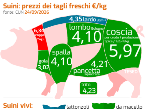Settore suinicolo: segnali di recupero ma resta la prudenza settore suinicolo