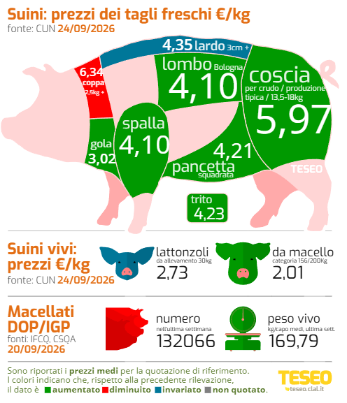 clal teseo settore suinicolo