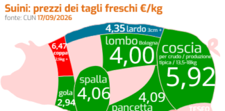 Mercato suinicolo, tra pressioni sui costi e tenuta dei margini mercato suinicolo