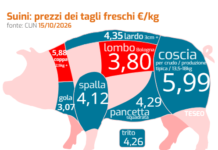 Carne suina Ue: cresce l’offerta, aumenta la pressione sui prezzi carne suina
