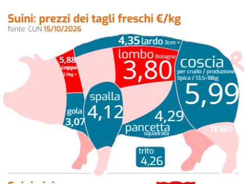 Carne suina Ue: cresce l’offerta, aumenta la pressione sui prezzi carne suina