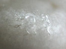 Ecodown® Fibers
