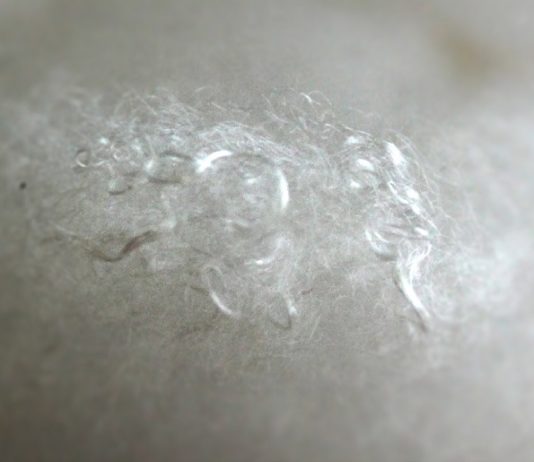 Ecodown® Fibers
