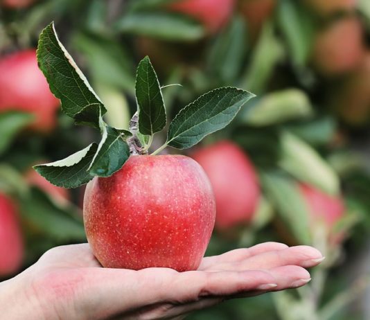 frumat