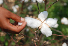 “NEW FASHION PARADIGM”, training in Sustainable Fashion