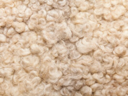 Osservatorio FiLA: Italian Native Wools