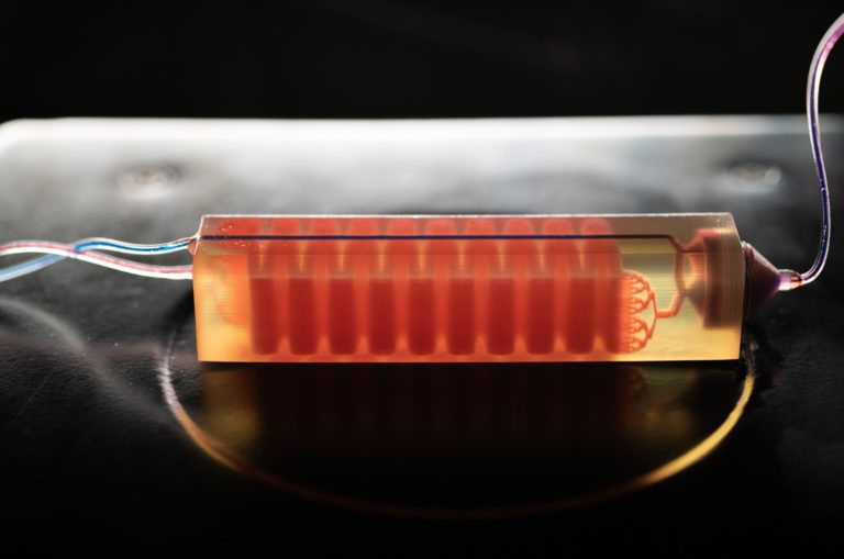 Un device 3D-printed individua cellule tumorali nel sangue