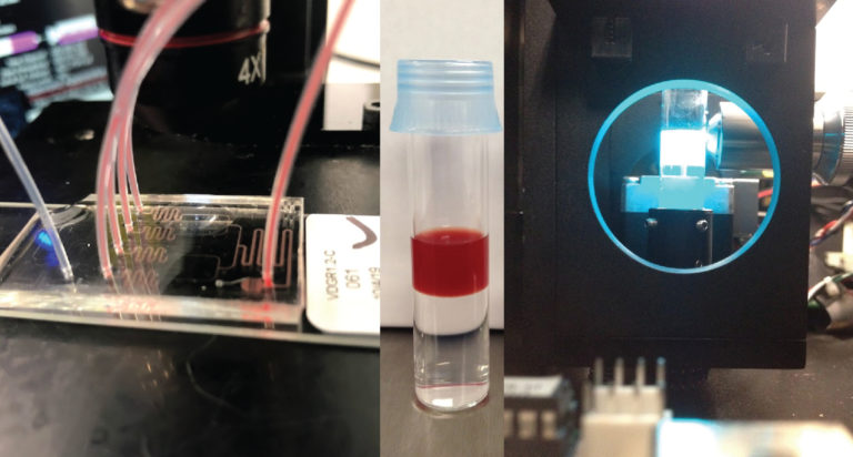 Dispositivo per la diagnosi rapida di sepsi