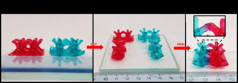 Stampa 3D e medicina rigenerativa