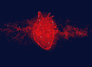 sistema cardiovascolare