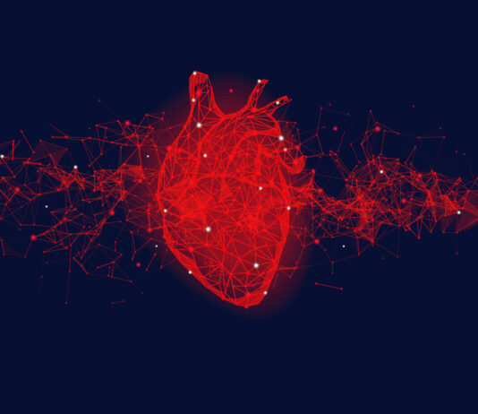 sistema cardiovascolare