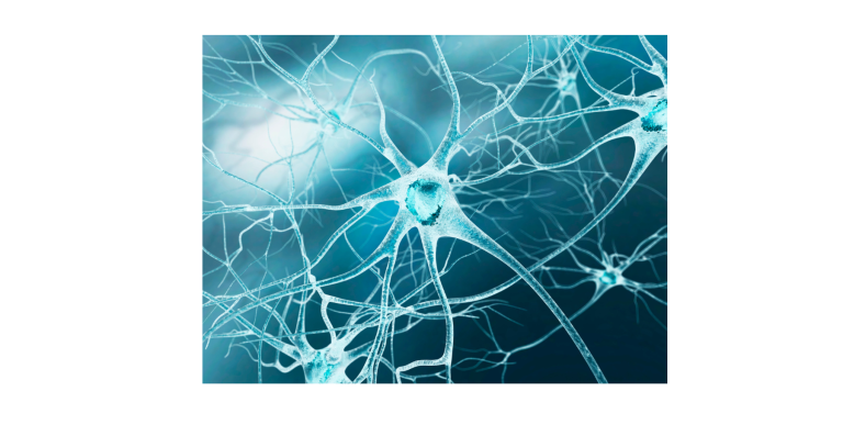 <strong>Neuroriabilitazione e robotica</strong>