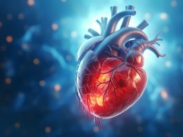 Ecografia cardiaca point-of-care, il cuore a portata di mano