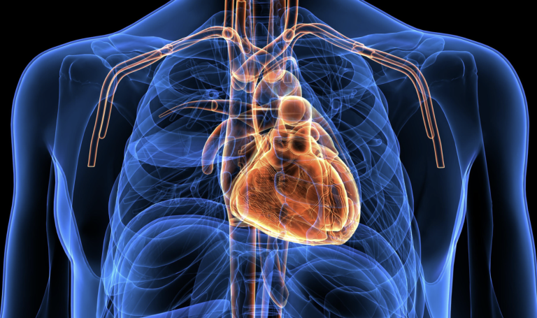 Coronaropatie, intervenire con robot da remoto