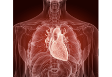 Fibrosi nelle aritmie: imaging 3D e mappatura elettrica