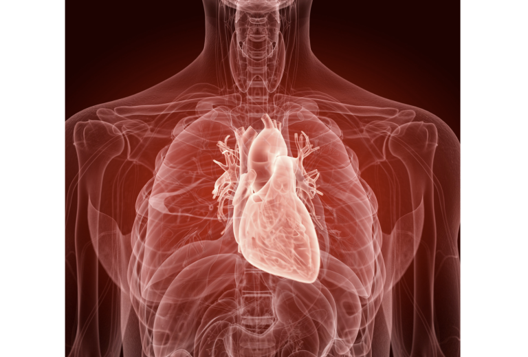 <strong>Cardiopatie: il progetto EMPATIC e lo sviluppo di nuove soluzioni terapeutiche</strong>