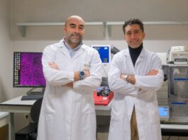 Geometria microscopica delle superfici nei dispositivi medici contro le infezioni Geometria microscopica delle superfici nei dispositivi medici contro i batteri