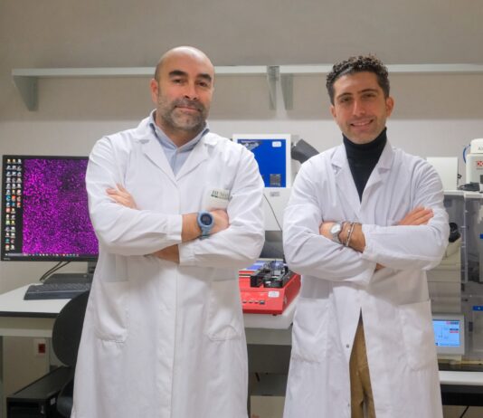 Geometria microscopica delle superfici nei dispositivi medici contro i batteri