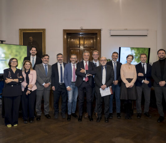 SIMM documento Data Strategy