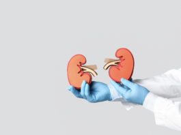 giornata mondiale del rene