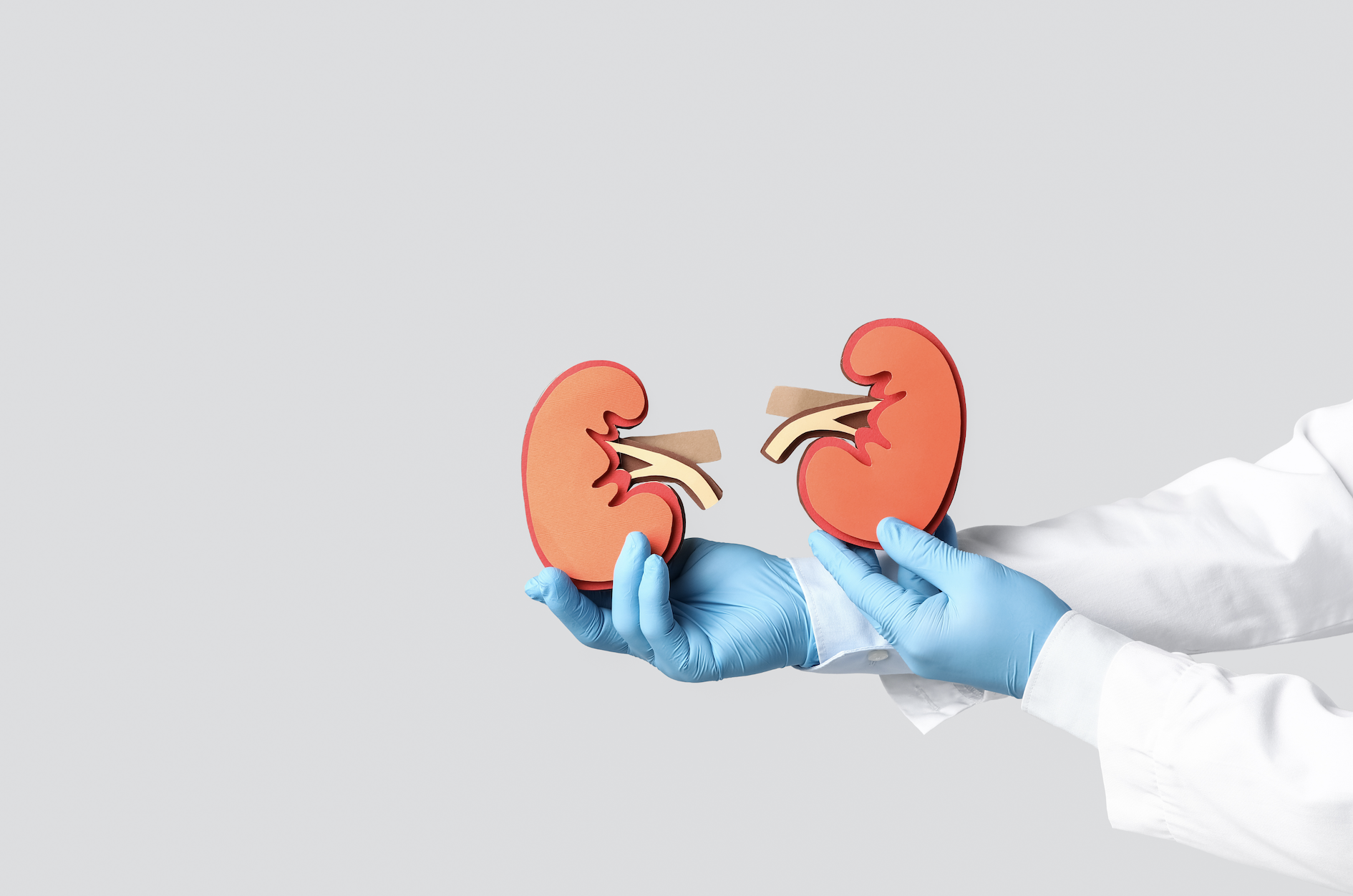 Giornata mondiale del rene: SIN, investire sulla dialisi peritoneale