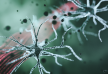 malattie neuromuscolari, progetto CoMPaSS-NMD