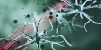 malattie neuromuscolari, progetto CoMPaSS-NMD