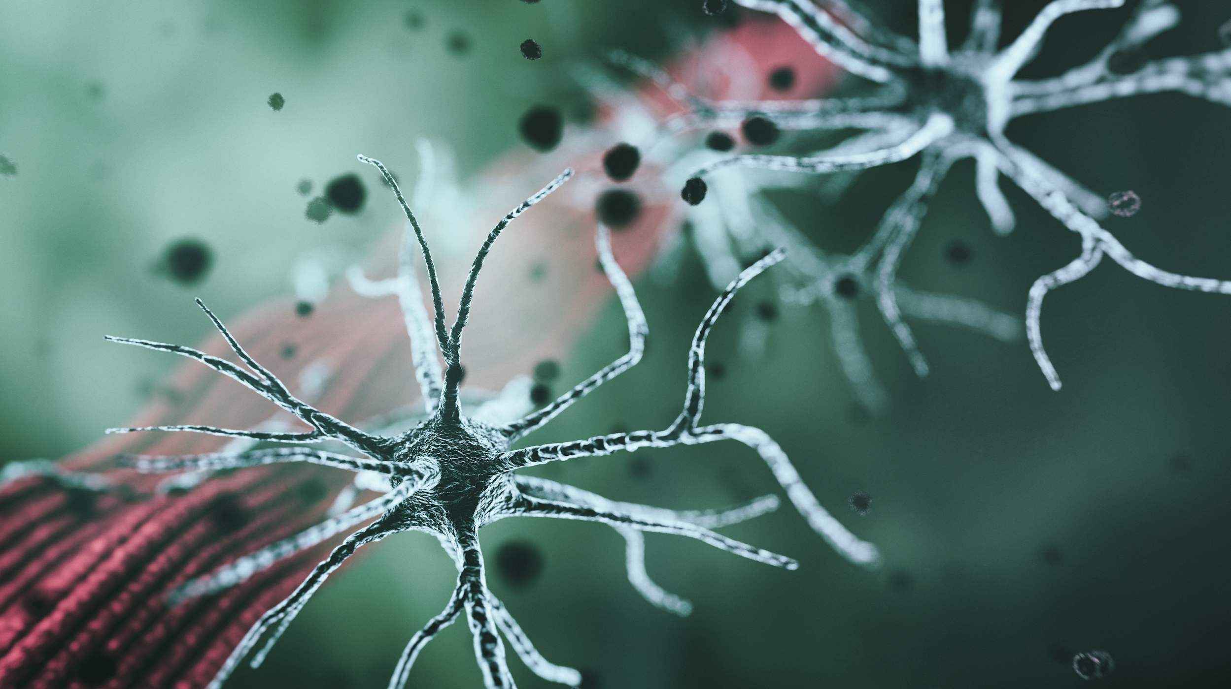 Malattie neuromuscolari: diagnosi di precisione e IA nella pratica clinica