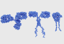 collaborazione IEO Mondino