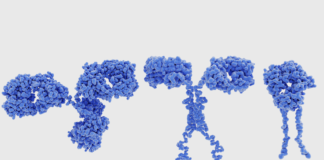 collaborazione IEO Mondino