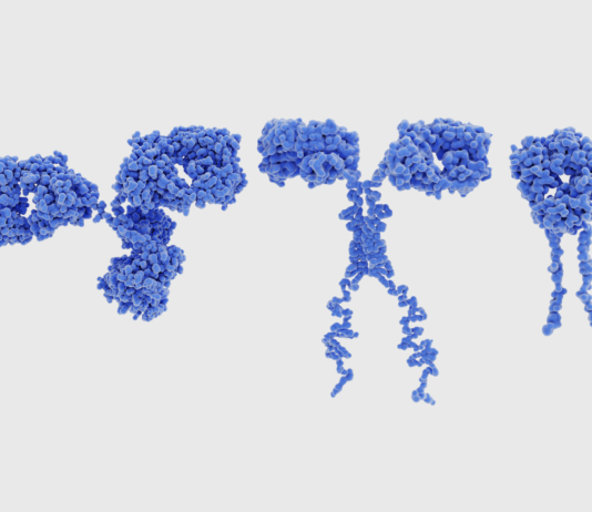 collaborazione IEO Mondino