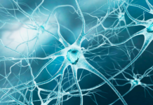 Intelligenza artificiale in neurologia