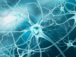LLM in neurologia quale utilità e come addestrare al corretto uso Intelligenza artificiale in neurologia