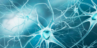 Intelligenza artificiale in neurologia
